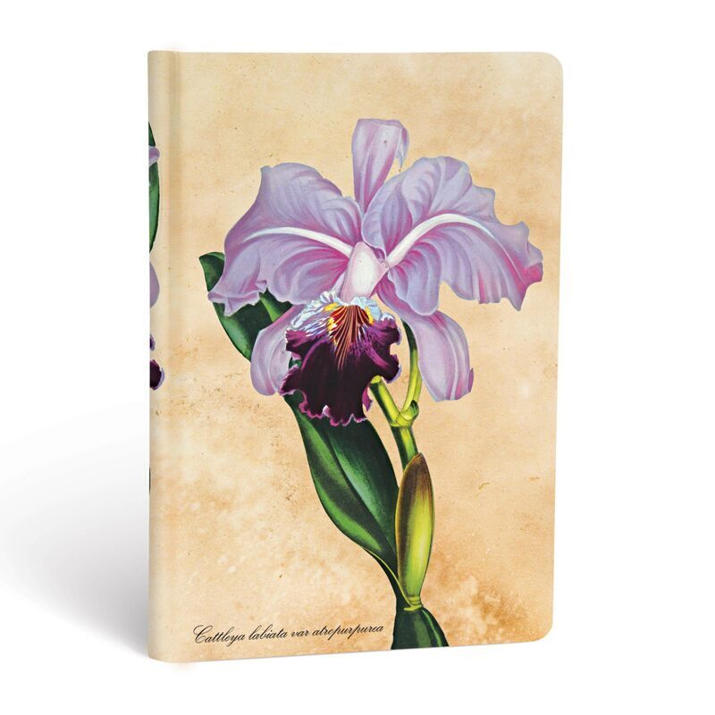 Carnet Orchidée Brésilienne