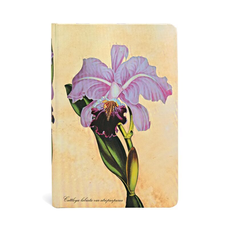 Carnet Orchidée Brésilienne