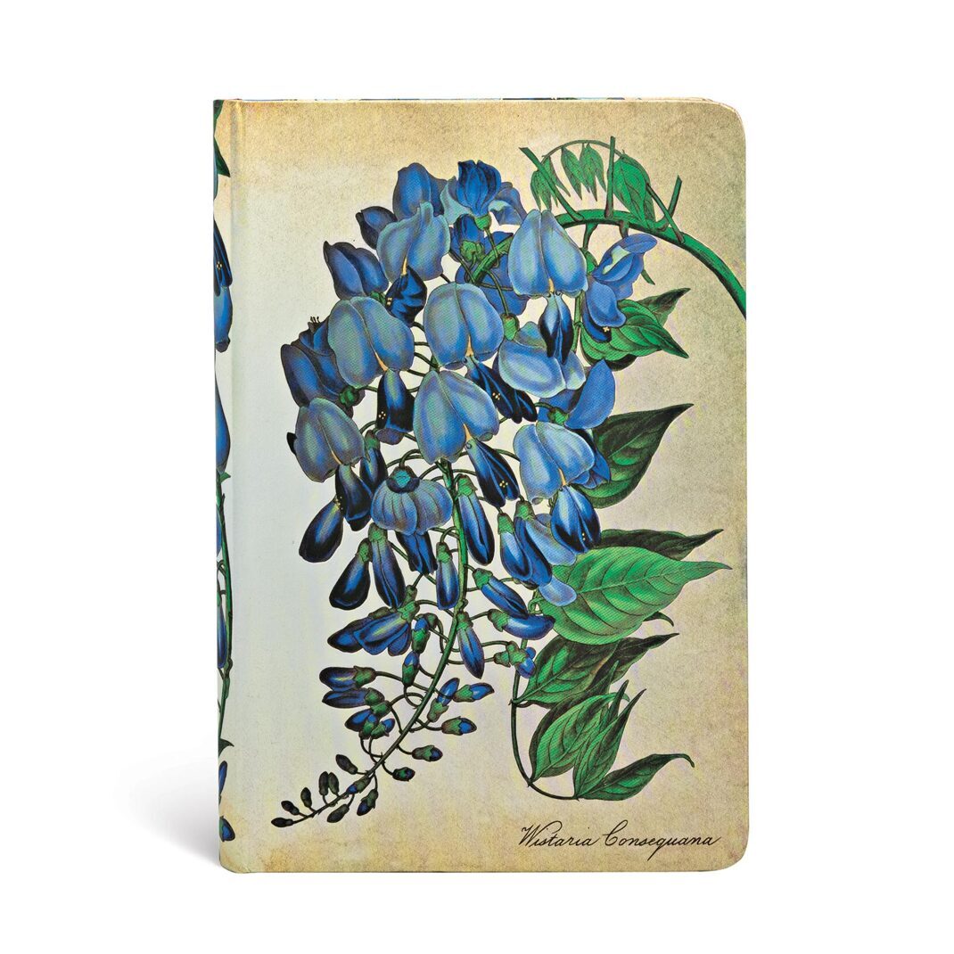 Carnet Glycine en Fleurs